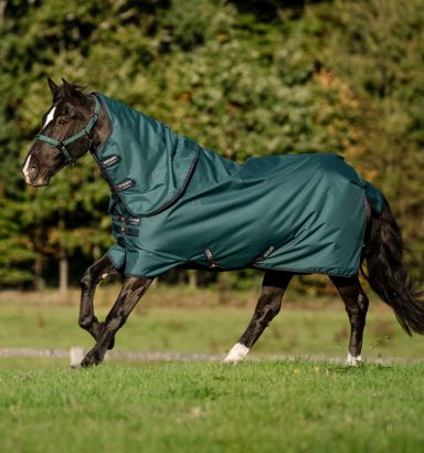 Browse our Horse Blankets Range Online - Horseware Ireland