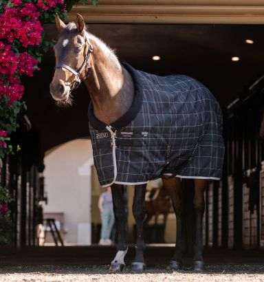 I）新品★Horseware Ireland Underblanket PLUS Horseware Underblanket Plus - Emmers Equestrian