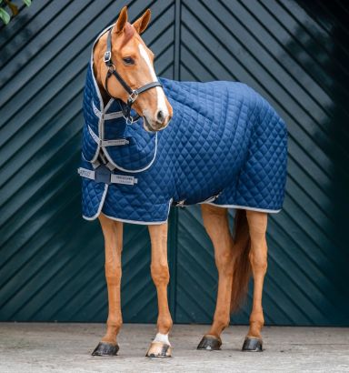 Horseware Amigo Masque Anti-mouches à Mailles Fines Avec Oreilles Argent Marine 4127 16780
