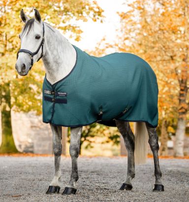 Tapis De Selle Rambo Show Bleu Marine - Taille 49 - Neuf