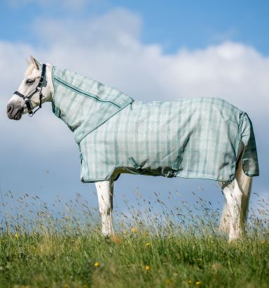 Chemise De Compétition Horseware Ireland Sara - Taille XL - Neuve