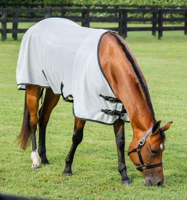 Search results for: 'SPORTZ-VIBE ZX HORSE RUG'