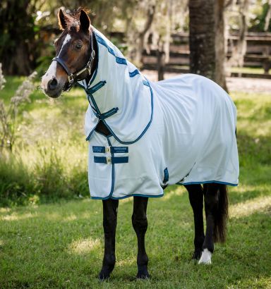 Amigo® Bug Rug XL Plus Fly Sheet
