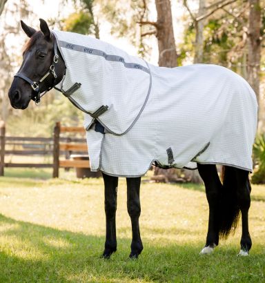 Amigo® Summer Sheet Plus