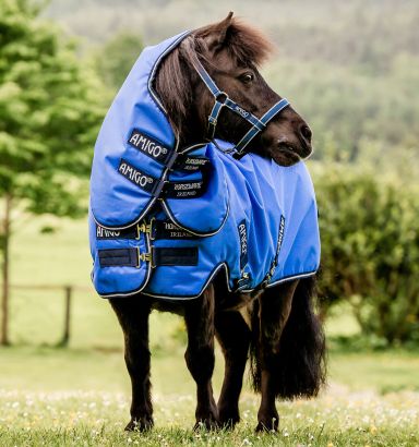 Licol Cuir Amigo Horseware - Cavaleurope