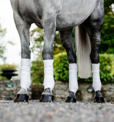 4 Protections De Transport Pour Cheval (guêtres) - NC EQUINE - Polaire épaisse - Multicolore