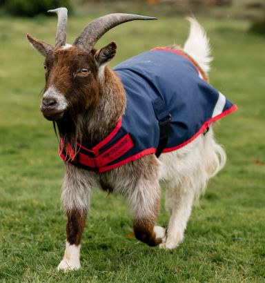 Horseware® Goat Coat 0g
