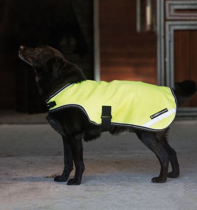Dog coats ireland clearance