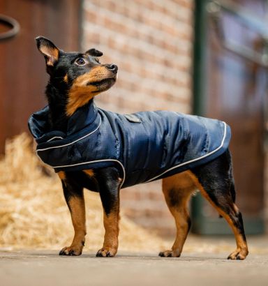 Horseware® Signature Dog Blanket (200g Medium)