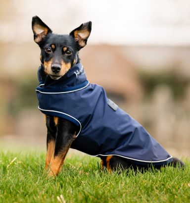 Horseware® Signature Dog Rain Coat (Ohne Füllung)