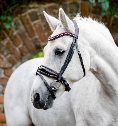 Bride Anglaise En Cuir Rembourrée - Fabriquée En Inde - Toutes Tailles De Chevaux - NEUVE