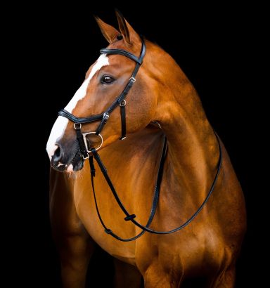 Horseware Micklem® Deluxe Competition Bridle with Reins