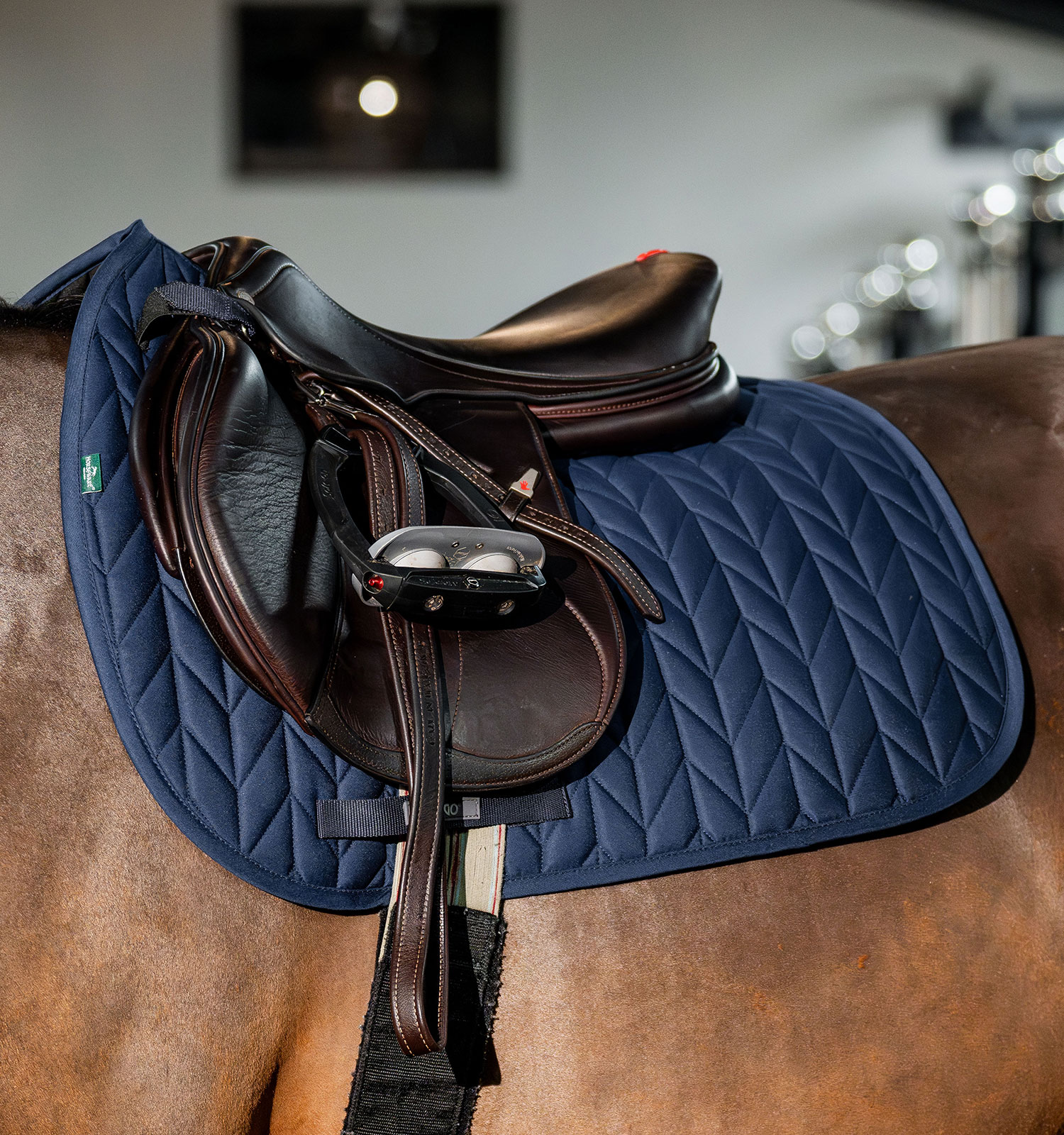 Horseware Amigo Bravo Turnout - Thumbnail 5