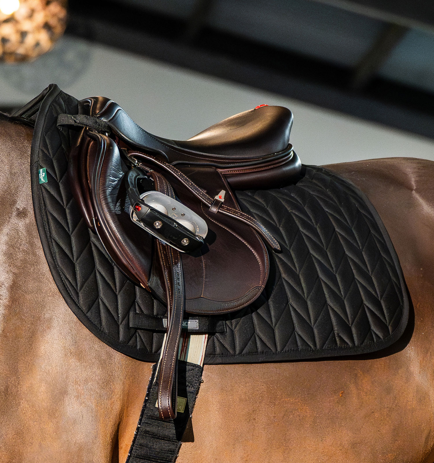 Horseware Amigo Bravo Turnout - Thumbnail 4