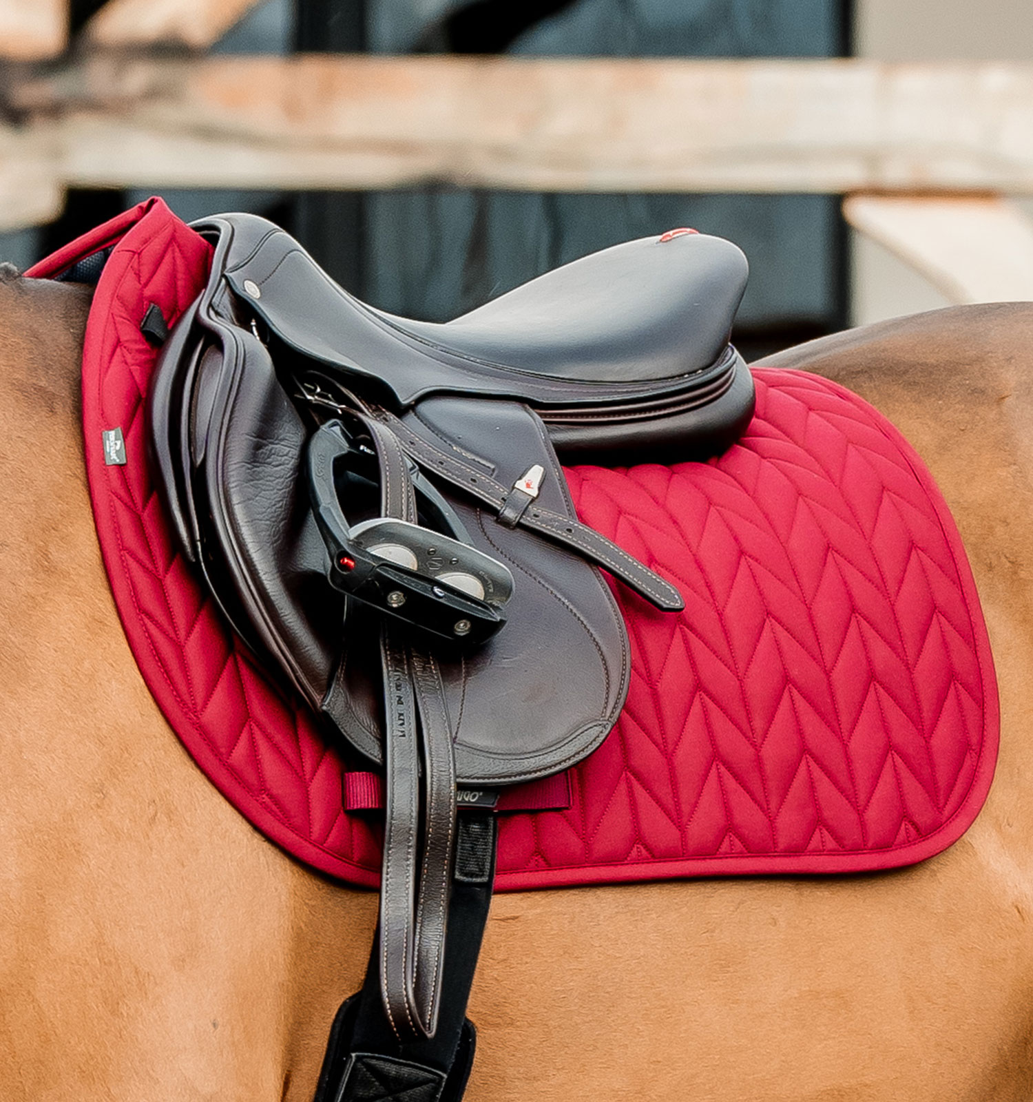 Horseware Amigo Bravo Turnout