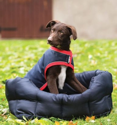 Rambo® Waterproof Dog Coat (0g Outer with 100g Liner)