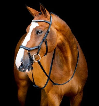Horseware Micklem® Diamante Competition Bridle