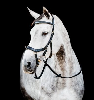 Horseware Micklem® 2 Multi Bridle with Rubber Reins